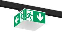 XAL Move it Pro Würfel 25m